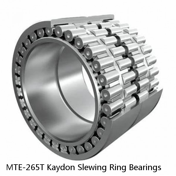 MTE-265T Kaydon Slewing Ring Bearings #1 small image