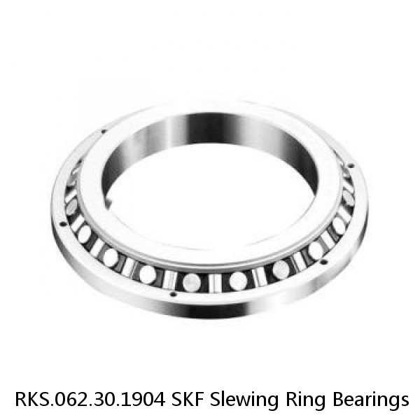 RKS.062.30.1904 SKF Slewing Ring Bearings #1 small image