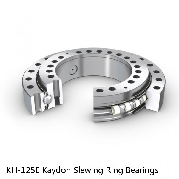 KH-125E Kaydon Slewing Ring Bearings #1 small image