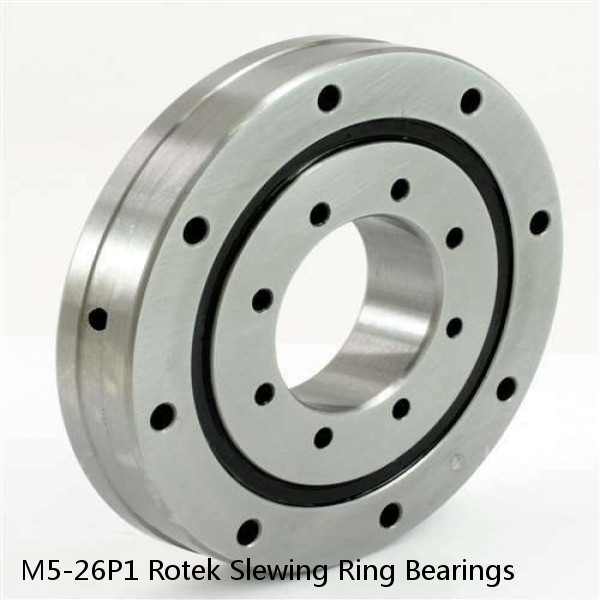 M5-26P1 Rotek Slewing Ring Bearings #1 small image