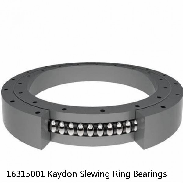 16315001 Kaydon Slewing Ring Bearings #1 small image