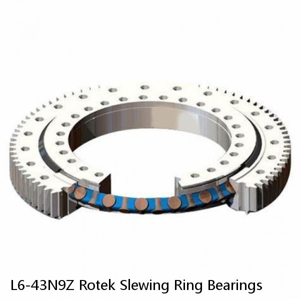 L6-43N9Z Rotek Slewing Ring Bearings