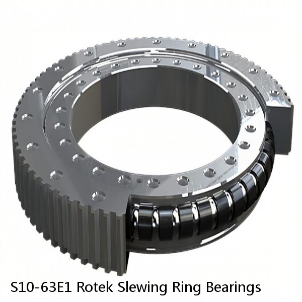 S10-63E1 Rotek Slewing Ring Bearings