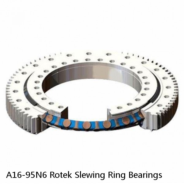 A16-95N6 Rotek Slewing Ring Bearings #1 small image