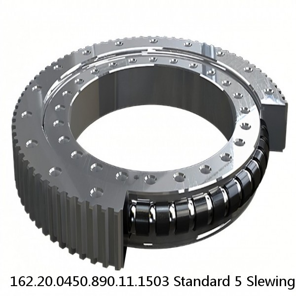 162.20.0450.890.11.1503 Standard 5 Slewing Ring Bearings #1 small image