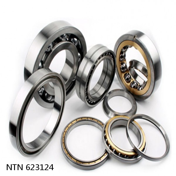 623124 NTN Cylindrical Roller Bearing #1 small image