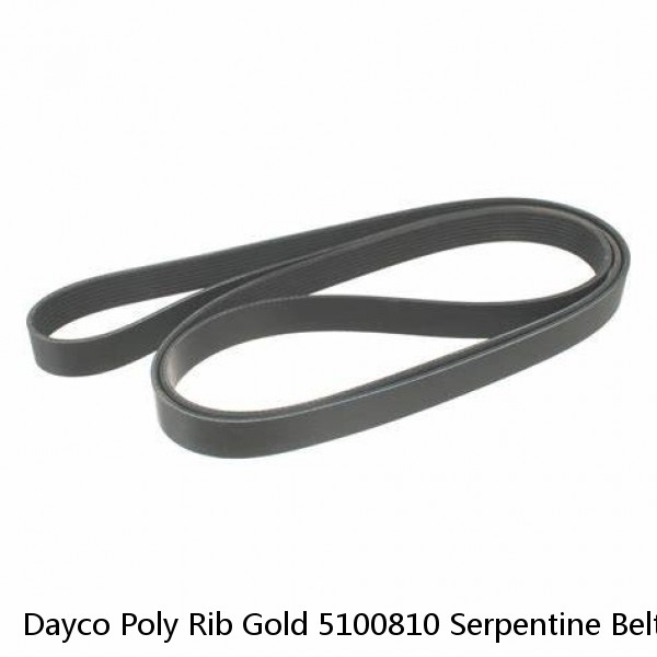 Dayco Poly Rib Gold 5100810 Serpentine Belt 10PK2057 #1 small image