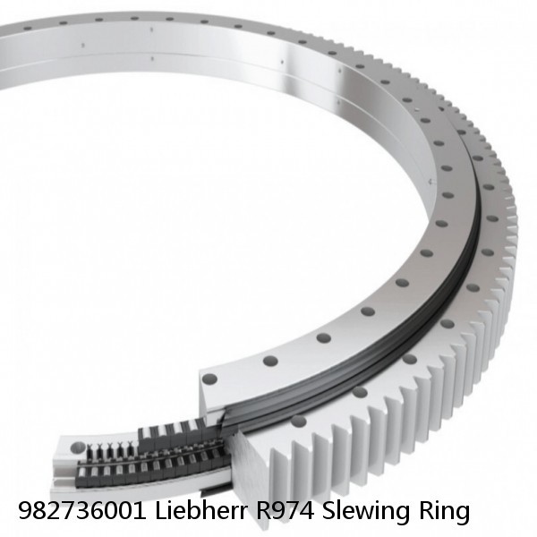 982736001 Liebherr R974 Slewing Ring #1 image