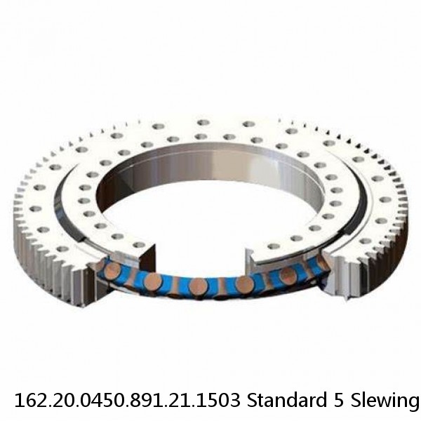 162.20.0450.891.21.1503 Standard 5 Slewing Ring Bearings #1 image