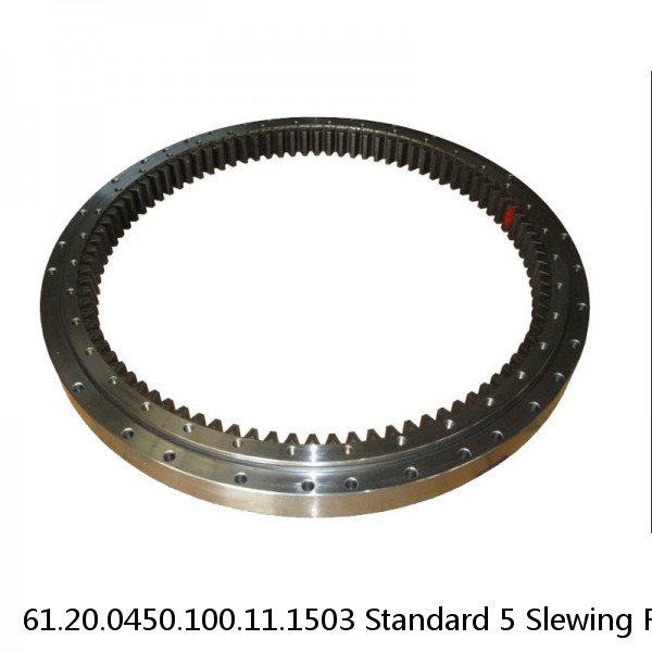 61.20.0450.100.11.1503 Standard 5 Slewing Ring Bearings #1 image