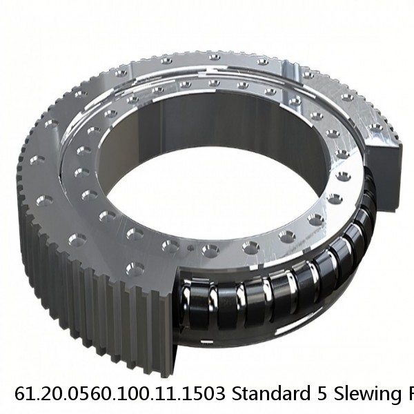 61.20.0560.100.11.1503 Standard 5 Slewing Ring Bearings #1 image