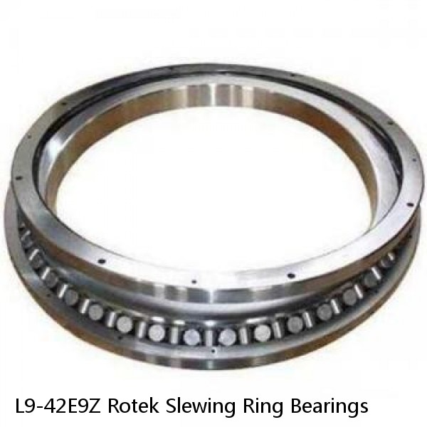 L9-42E9Z Rotek Slewing Ring Bearings #1 image