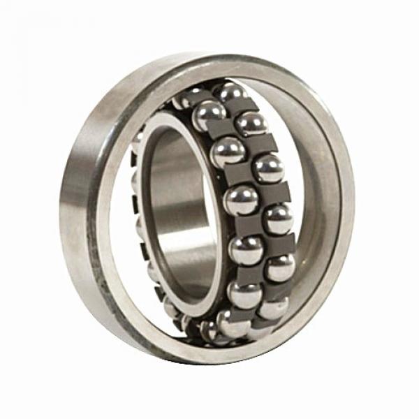 FAG NNU4930S.M.P53 Cylindrical Roller Bearings #2 image