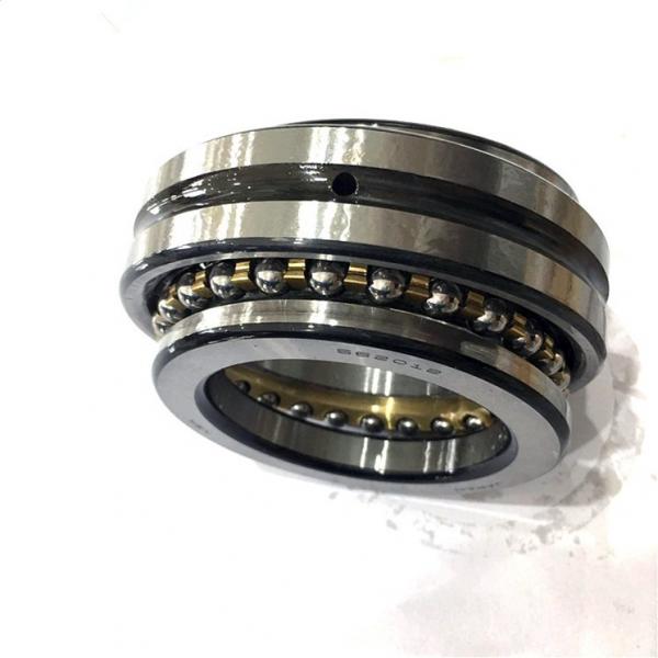 FAG 507628 Cylindrical Roller Bearings #1 image