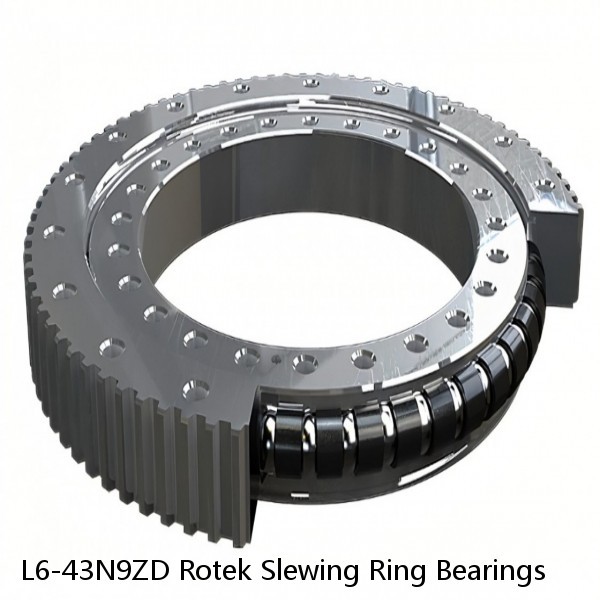 L6-43N9ZD Rotek Slewing Ring Bearings #1 image