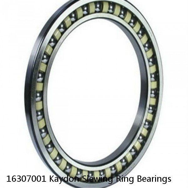 16307001 Kaydon Slewing Ring Bearings #1 image