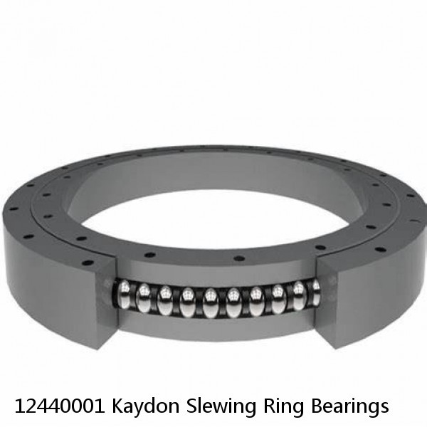 12440001 Kaydon Slewing Ring Bearings #1 image