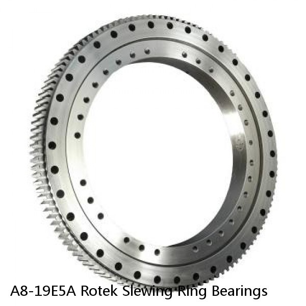 A8-19E5A Rotek Slewing Ring Bearings #1 image