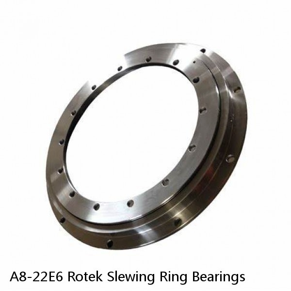 A8-22E6 Rotek Slewing Ring Bearings #1 image