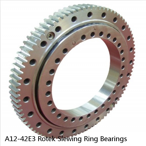 A12-42E3 Rotek Slewing Ring Bearings #1 image