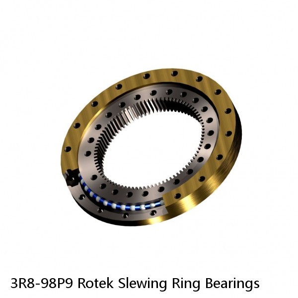 3R8-98P9 Rotek Slewing Ring Bearings #1 image