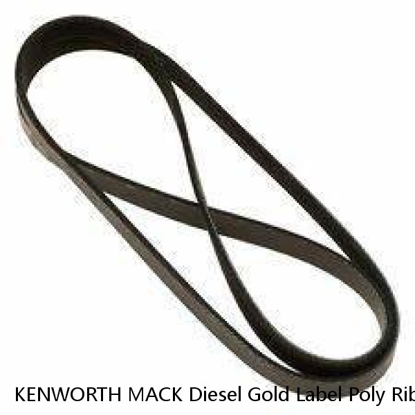 KENWORTH MACK Diesel Gold Label Poly Rib Serpentine Belt Dayco 5100670 #1 image