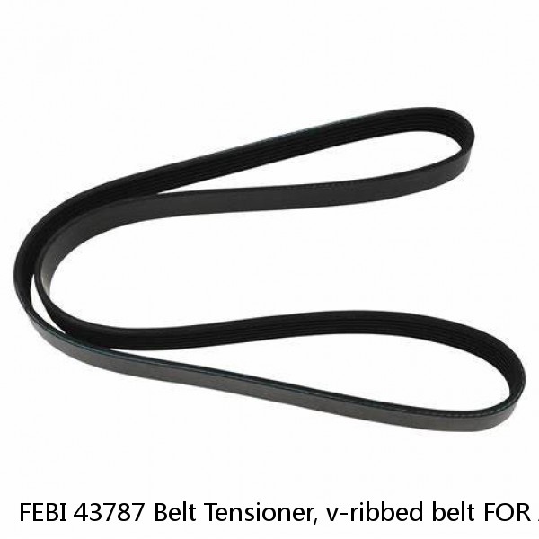 FEBI 43787 Belt Tensioner, v-ribbed belt FOR AUDI,VW,PORSCHE #1 image