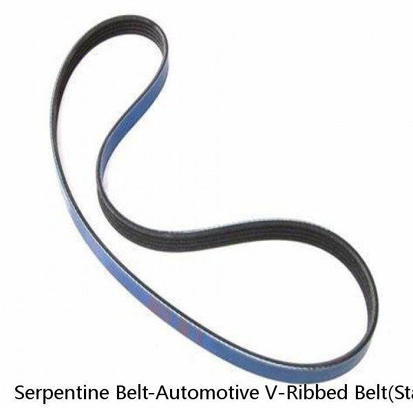Serpentine Belt-Automotive V-Ribbed Belt(Standard) Roadmax 6K966AP (Fits: Audi) #1 image