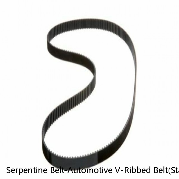 Serpentine Belt-Automotive V-Ribbed Belt(Standard) Roadmax 6K441AP (Fits: Audi) #1 image