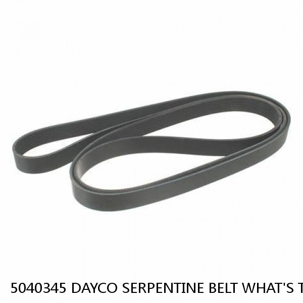 5040345 DAYCO SERPENTINE BELT WHAT'S THE BEST PRICE ON BELTS #1 image