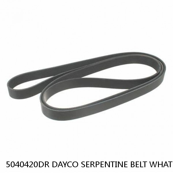 5040420DR DAYCO SERPENTINE BELT WHAT'S THE BEST PRICE ON BELTS #1 image